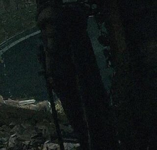 Are The Bastard Sons on Citadelle the Primis Crew?