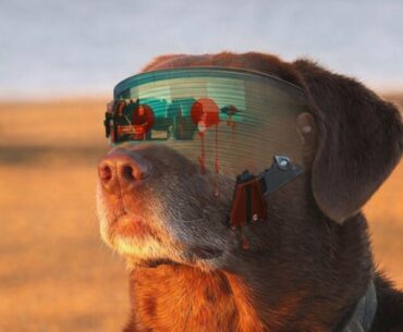 Scavs when the chromed out the wazoo gonk they couldn’t scratch with a diamond saw wakes up from the brain wipe