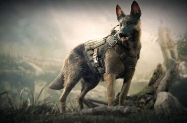Prediction: if the rumors are true that MW4 is going to lead to a [GHOSTS] reboot, Ghost is going to name the dog Johnny