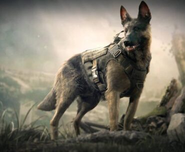 Prediction: if the rumors are true that MW4 is going to lead to a [GHOSTS] reboot, Ghost is going to name the dog Johnny