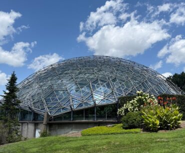No excavators ruined my trip to the bio dome today