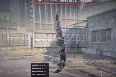 i packed a knife