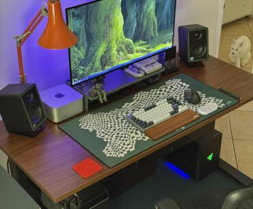 Gaming and work hybrid setup