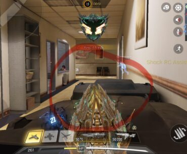 The iron sights on mythic FSS disappear in the middle of a game