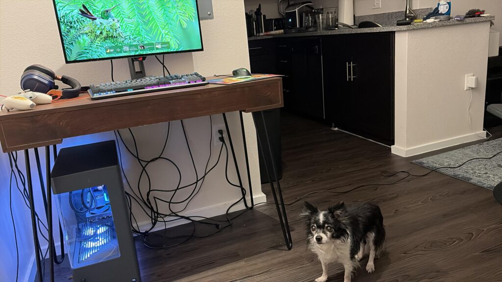 $2,500 budget build for myself (don’t ignore the dog)