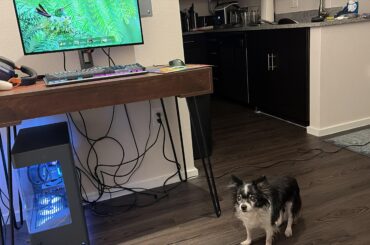 $2,500 budget build for myself (don’t ignore the dog)