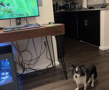 $2,500 budget build for myself (don’t ignore the dog)