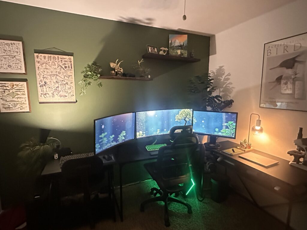 Set up in new house