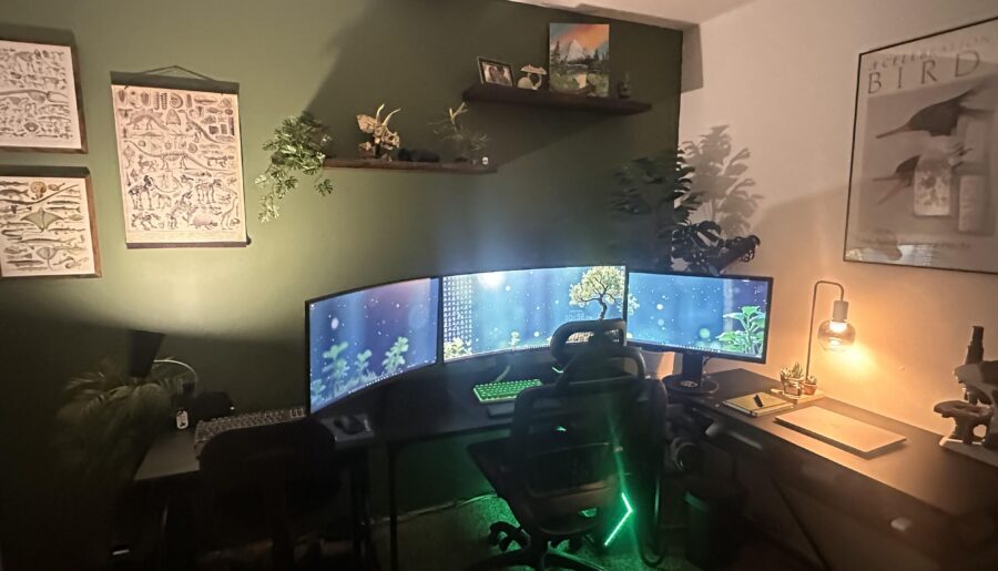 Set up in new house