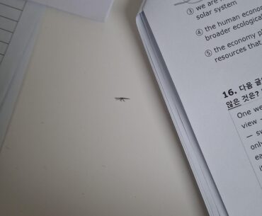 This eraser crumbs look like ak 47