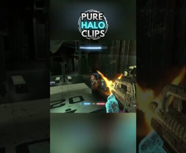 Pure Halo Clips 251
