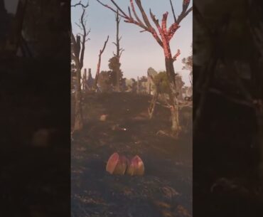 Enlisted Gameplay-Kills, Deaths, Funny Bits #enlisted #gaming #fpsgames #gameplay#ww2games