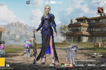 Best companion?
