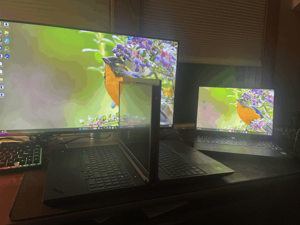 Bought a workstation, a second workstation, a gaming laptop, and a 32" 4K monitor. Bird looks great on all of them