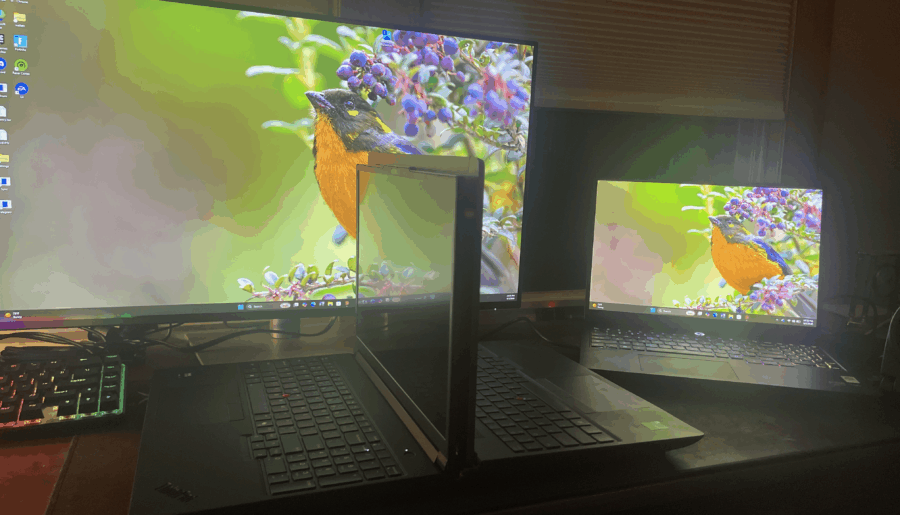 Bought a workstation, a second workstation, a gaming laptop, and a 32″ 4K monitor. Bird looks great on all of them