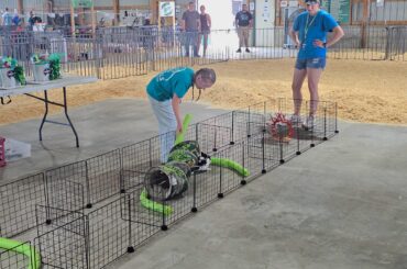 Funny bunny games hop into 5th year at fair -
