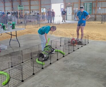 Funny bunny games hop into 5th year at fair -