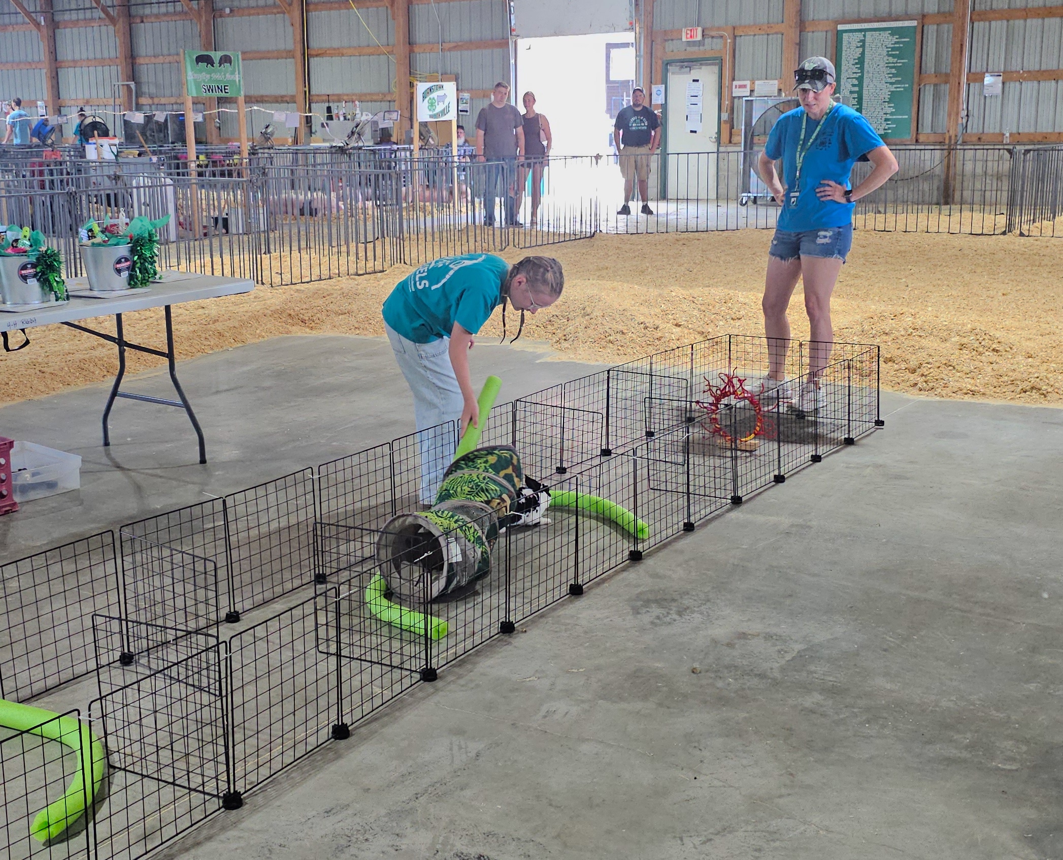 Funny bunny games hop into 5th year at fair – Funny bunny games hop into 5th year at fair -