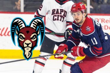 Official Site of The ECHL