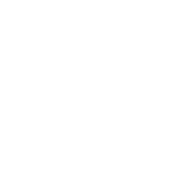 Esports World Cup