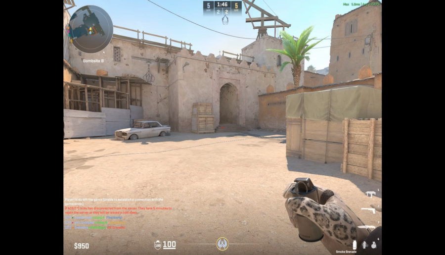 Is this an edge bug?
