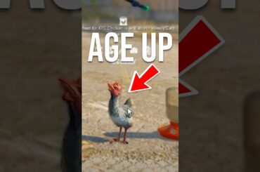 cs2 chicks are AGING UP